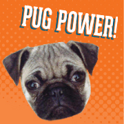 Join The Pugs — Pug Power