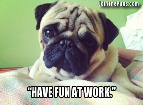 Work Getting You Down? • Join The Pugs